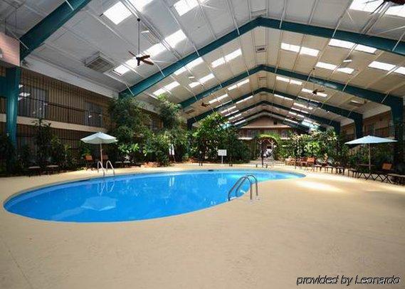 Rodeway Inn Cow Palace 라마 시설 사진